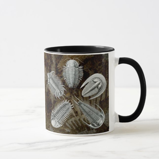 5 Trilobites Tasse (Rechts)