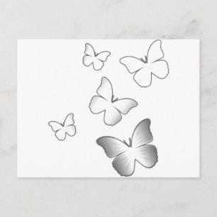 5 Weiße Schmetterlinge Postkarte