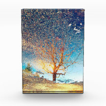 5"x7" Acrylblock | | Cherry Tree Puddle