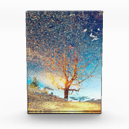 5"x7" Acrylblock | | Cherry Tree Puddle Fotoblock
