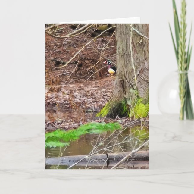 5"x7" Faltkarte | Shy Wood Duck Karte (Vorderseite)