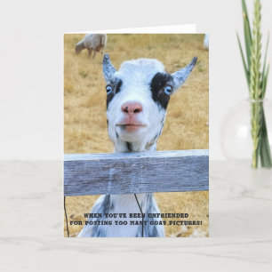 5"x7" Faltkarte Ziege ohne Freunde Karte