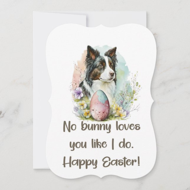 5 x 7 Border Collie Happy Oaster Card (Vorderseite)