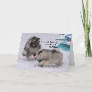 5 x 7 carte de Noël de Keeshond de 2018 vacances