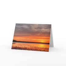 5 x 7 Jeu de cartes de note vierges