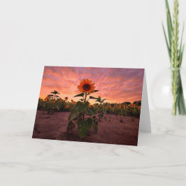 5 x 7 Set für leere Notizkarte