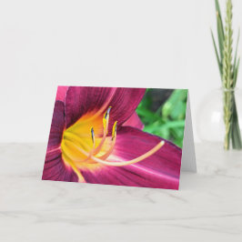 5 x 7 Set für leere Notizkarte