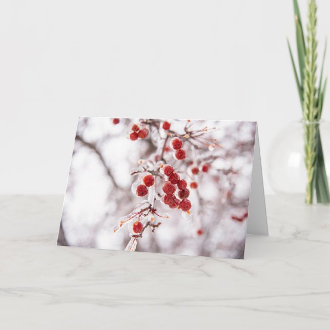 5 x 7 Set für leere Notizkarte (Vorderseite)