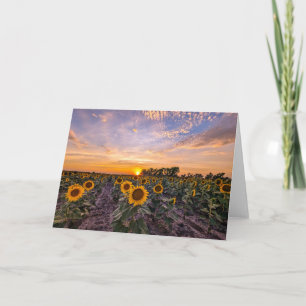 5 x 7 Set für leere Notizkarte