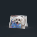 *60. BIRTHDAY* HA HA (FUNNY DOG SPASS) Karte<br><div class="desc">60. GEBURTSTAG SPASS FÜR DIE "50 JAHRE ALTE UND HUNDE LOVER" IN IHREM LEBEN... ... ... ... ... ... ... ... ... ... ... ... ... ... ... ... ... ... ... ... ... ... ... ... ... ... ... ... ... ... ... ... ... ... ... ... ... ......</div>