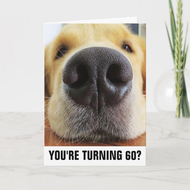 60. BIRTHTAGFUNNY DOG GREETING CARDS KARTE (Vorderseite)