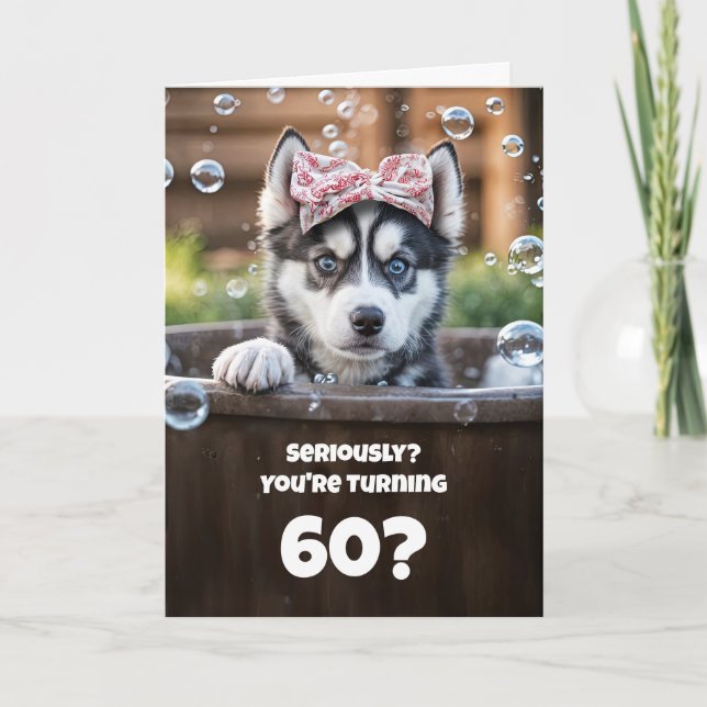 60. Süße und humorvolle Hunderasse Husky beim Bade Karte (Vorderseite)