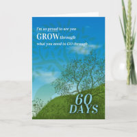 60 Tage Sobriety Summer Meadow