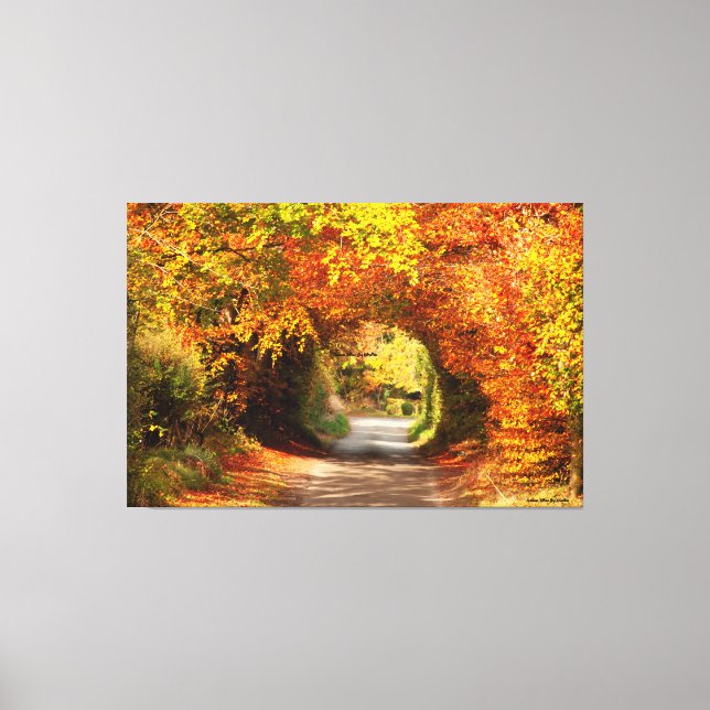 60" x 40" Leinwand Gelber Bog Kilcullen (Vorderseite)