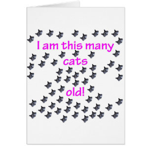 61 Katzen-Köpfe alt