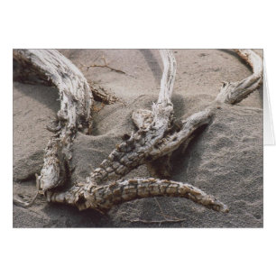 61. Rack Antler en bois