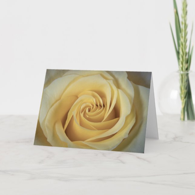 6363-Gelbe Rose Karte (Vorderseite)
