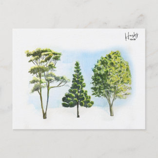63; australische Bäume Postkarte