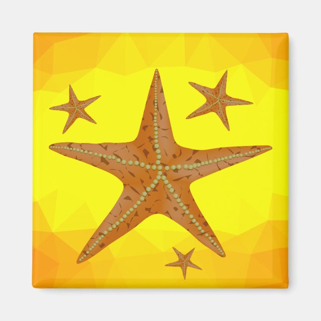 6616Starfish Magnet (Vorne)