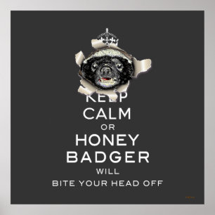 [66] Behalt Ruhe oder Honey Badger... Poster