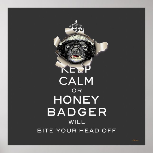[66] Behalt Ruhe oder Honey Badger... Poster (Vorne)