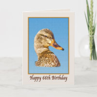66. Geburtstags-Karte mit Stockenten-Ente