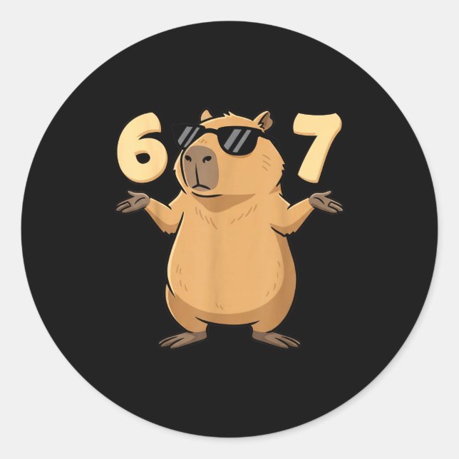 67 Capybara Meme 6 7 Aesthetic For Kids Young Adul Runder Aufkleber (Vorderseite)