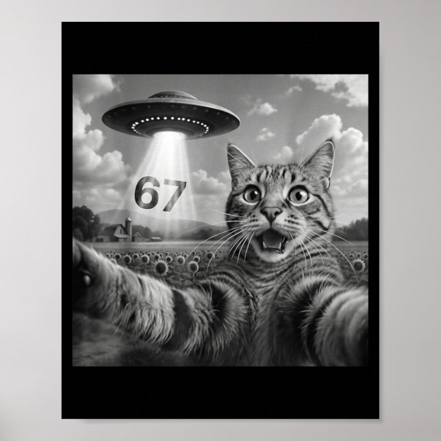 67 Cat Selfie With Alien Ufos Funny Cat Six Seven  Poster (Vorne)