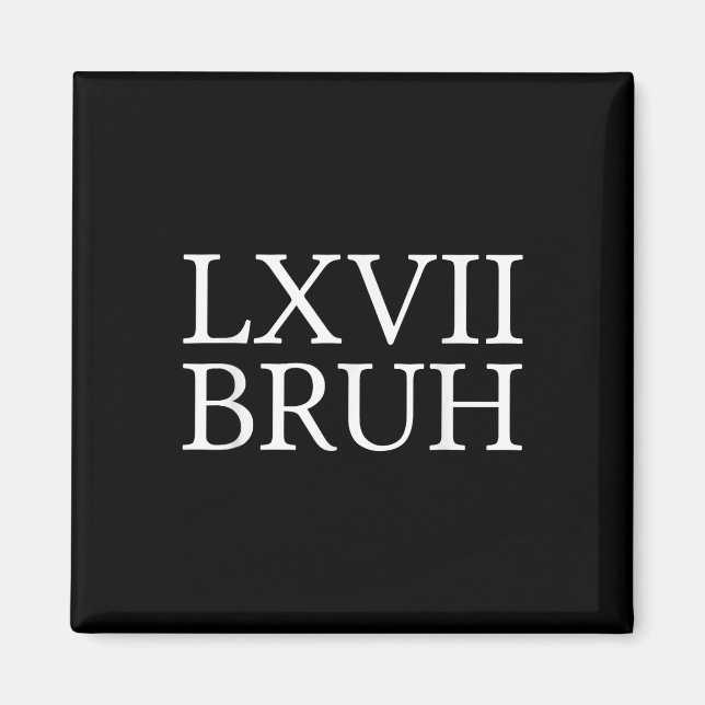 67 Geschichte Meme Six Seven Bruh Lustiger Geschic Magnet (Vorne)