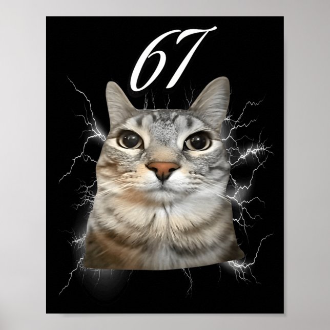 67 Meme Cat Howling At Moon Brainrot Funny 6 7  Poster (Vorne)