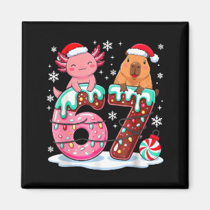67 Meme Kawaii Axolotl Capybara Weihnachten Eiscre Magnet