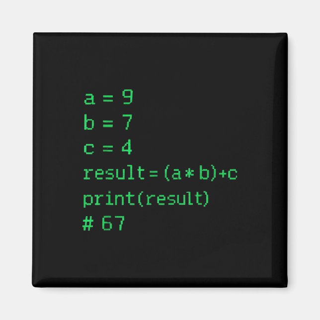 67 Meme Python-Code Ergebnis Geek Humor Six Seven  Magnet (Vorne)