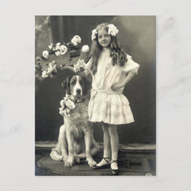 67 Tiere Postkarte (Vorderseite)