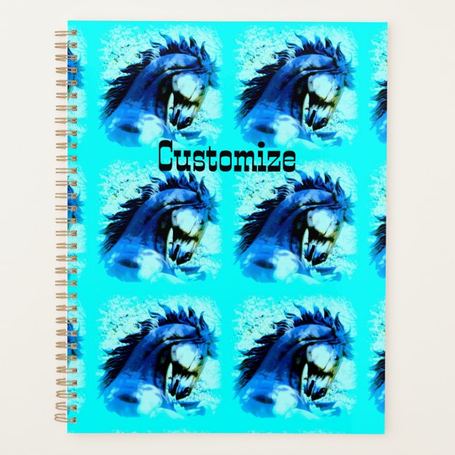 6 blue stallions Thunder_Cove Planer (Vorderseite)