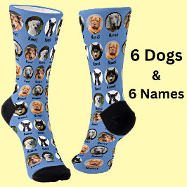 6 Dogs, 6 Names, Dog Photo - Personalized Blue Socken