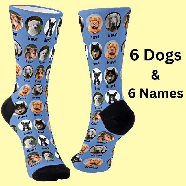6 Dogs, 6 Names, Dog Photo - Personalized Blue Socken (Von Creator hochgeladen)