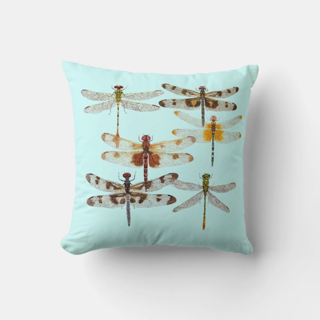 6 espèces de coussin de libellule (Recto)