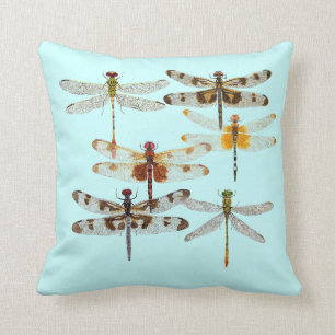 6 espèces de coussin de libellule