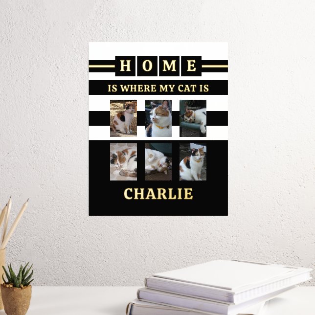 6 Fotos Name Tierliebhaber Katzen Schwarz-weiß Foliendrucke (In Situ (Schreibtisch 3))