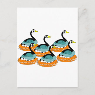 6 Gänse Postkarte