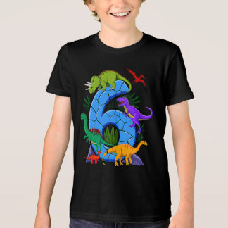 6 Jahre alter Dinosaurier Geburtstag 6. Tri-Blend Shirt
