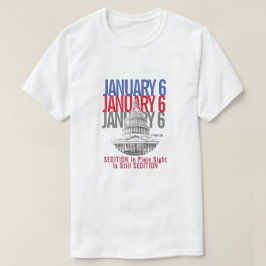 6. Januar (Sedition Edition) - Ein MisterP-T - Shi T-Shirt