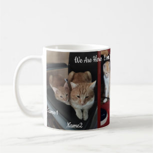 6 Katzen Foto und Name,Aufbewahren,eigene herstell Kaffeetasse