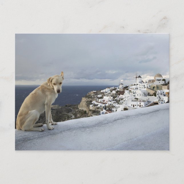 6. November Postkarte (Vorderseite)