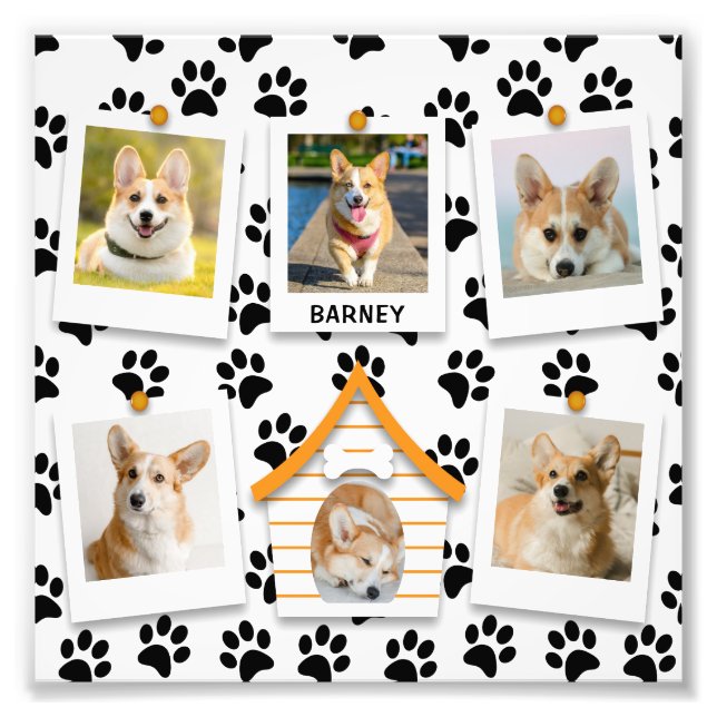 6 Photo Collage Chien Nom de la maison Photo Élarg (Devant)