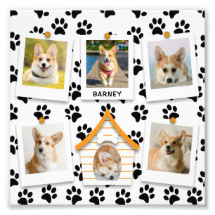 6 Photo Collage Maison de Chien Nom Agrandissement