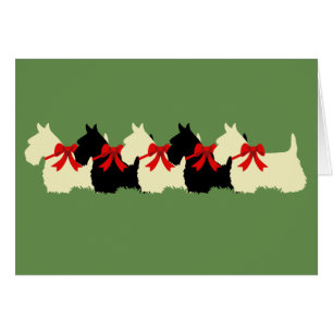 6 Scottish Terrier noir/siffleur, arc/blanc