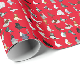 6 Tauben-Zucht Geschenkpapier