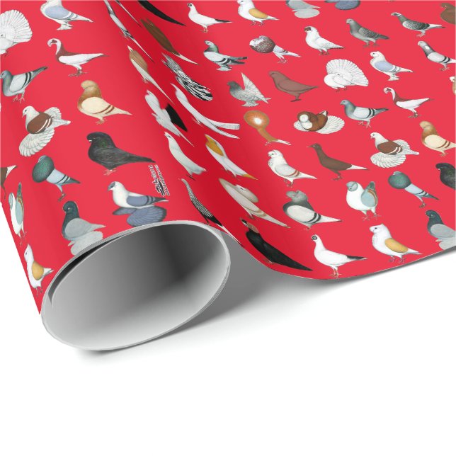 6 Tauben-Zucht Geschenkpapier (Rolleneckpunkt)