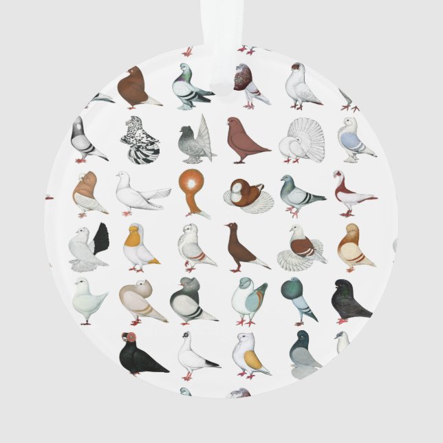 6 Tauben-Zucht Ornament (Rückseite)